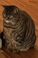 Grizzly reduced.jpg (75 KB)